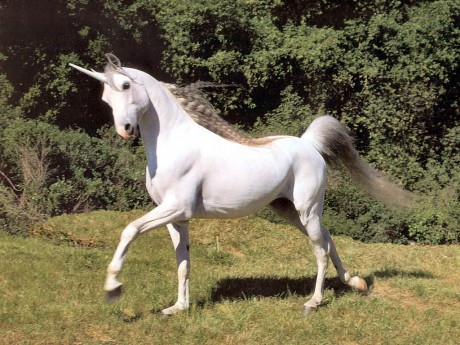 unicor1
